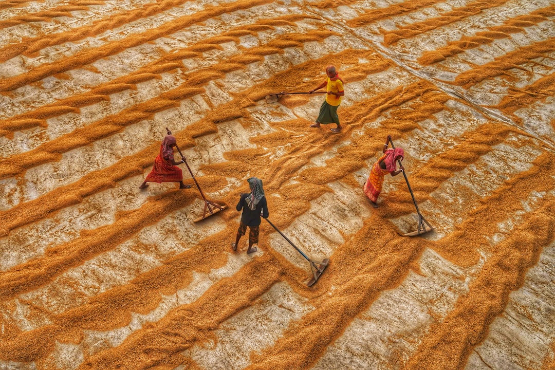 देश में नई आर्थिक नीतियों का असर: नौकरी और व्यापार में बढ़ती उम्मीदें