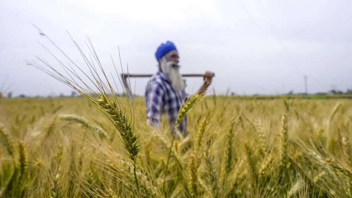 भारत-UK व्यापार समझौता: किसानों के लिए नई संभावनाएँ और कृषि क्षेत्र में बदलाव