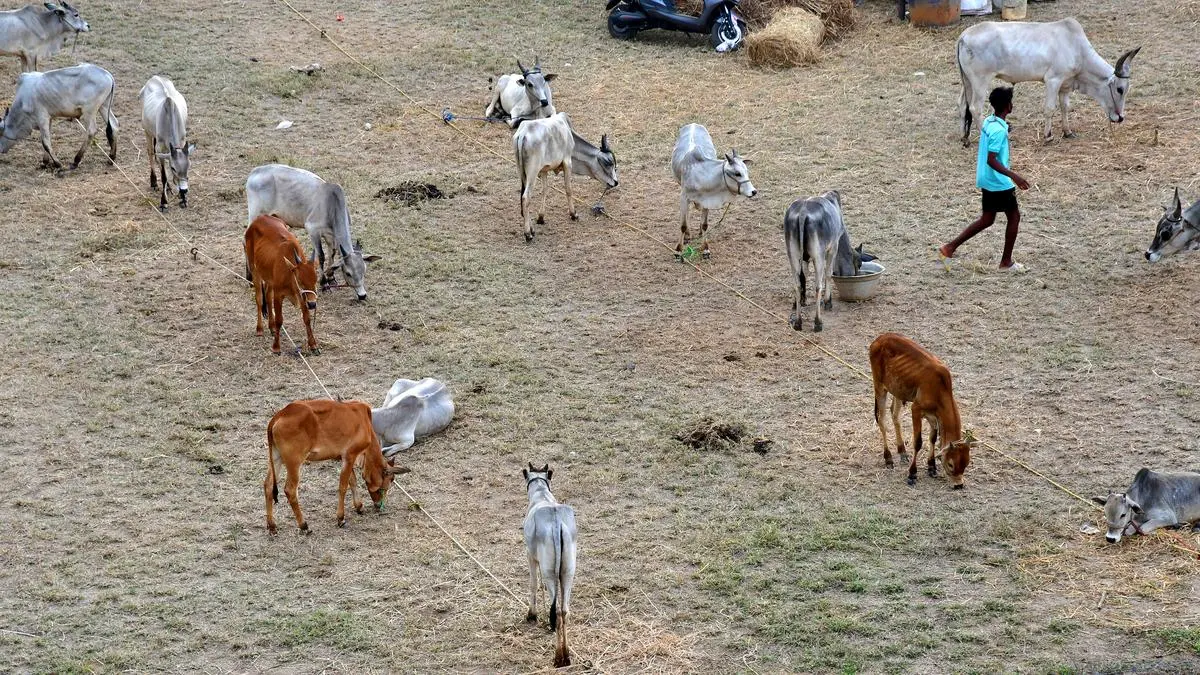 संगठित खरीदारी और पशु पोषण से छोटे किसानों की आय में क्रांतिकारी बदलाव