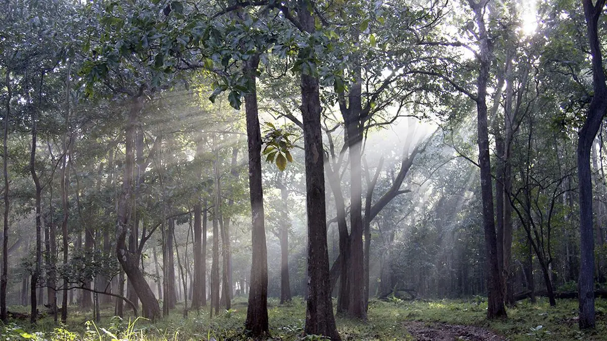 क्लाइमेट रेजिलिएंस: भारत में समुदाय आधारित संरक्षण ने बदल दी प्रकृति की तस्वीर