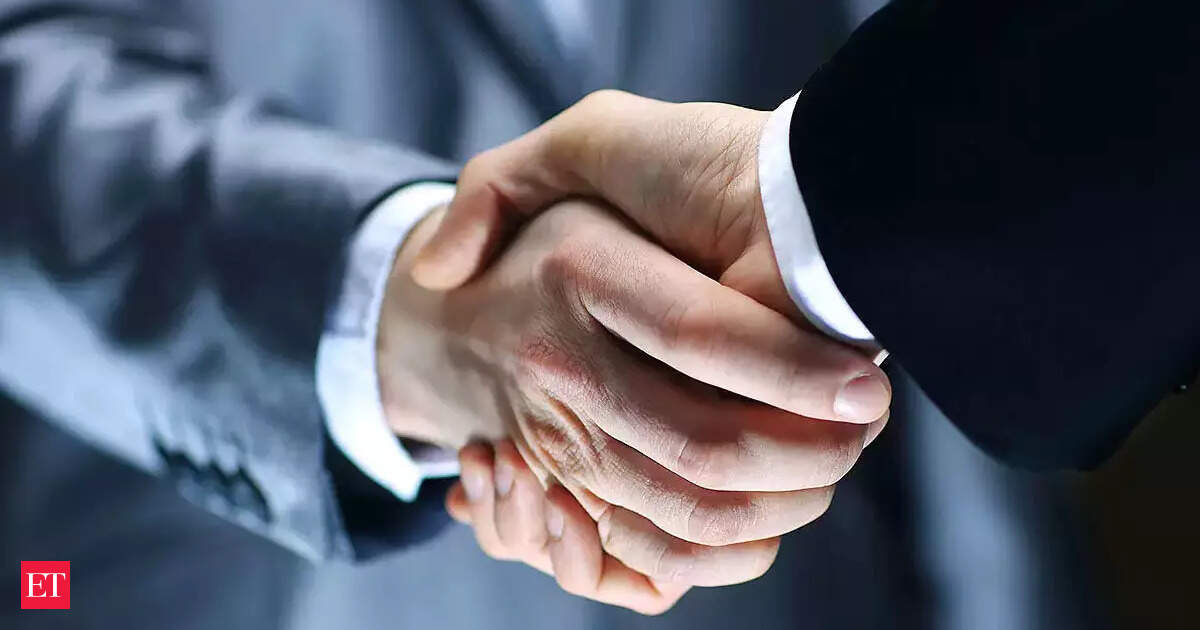 VIP Industries में 32% हिस्सेदारी के लिए मल्टीपल्स ईक्विटी का बड़ा प्रस्ताव, जानिए क्या हैं पूरी खबर